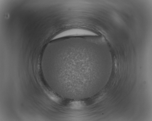 X0000082930499200702081544