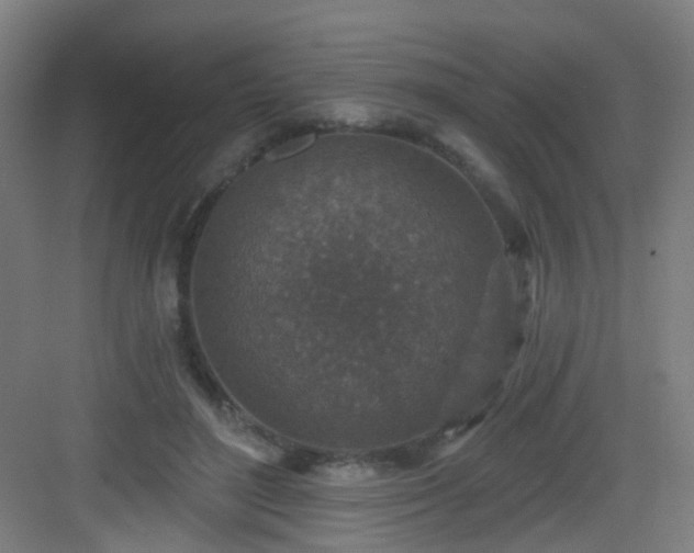 X0000082930500200702081544