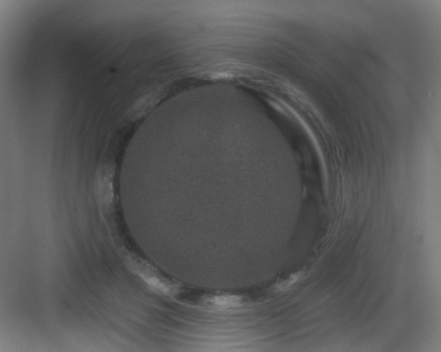 X0000082930501200702081544