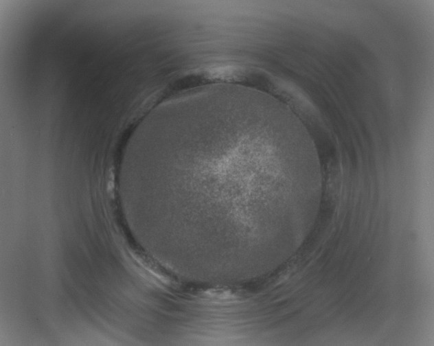 X0000082930502200702081544