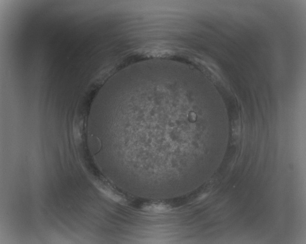 X0000082930503200702081544