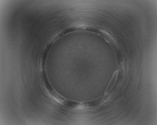 X0000082930504200702081544