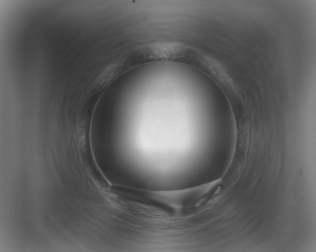 X0000082930505200702081544