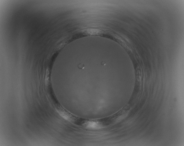 X0000082930507200702081544