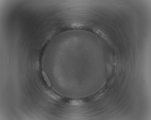 X0000082930508200702081544