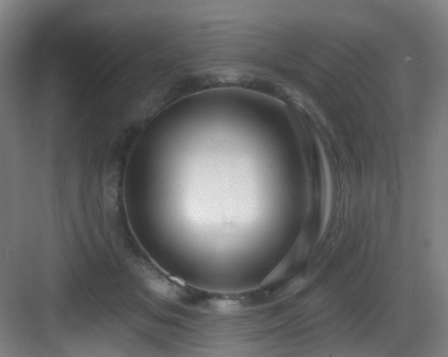 X0000082930509200702081544