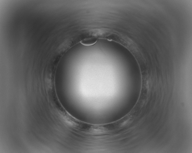 X0000082930510200702081544