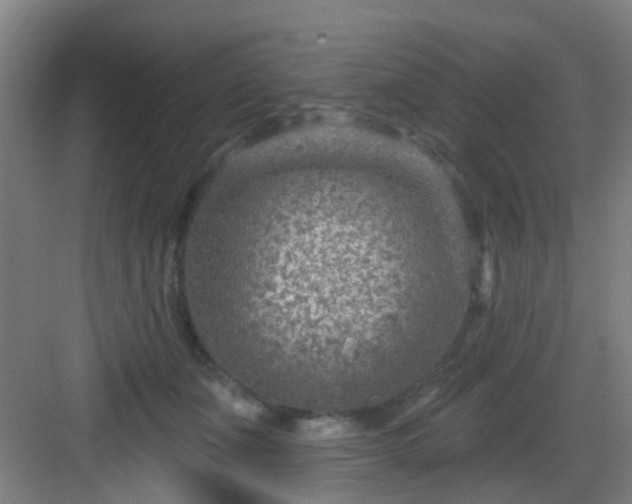 X0000082930511200702081544