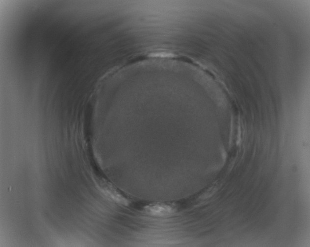 X0000082930512200702081544