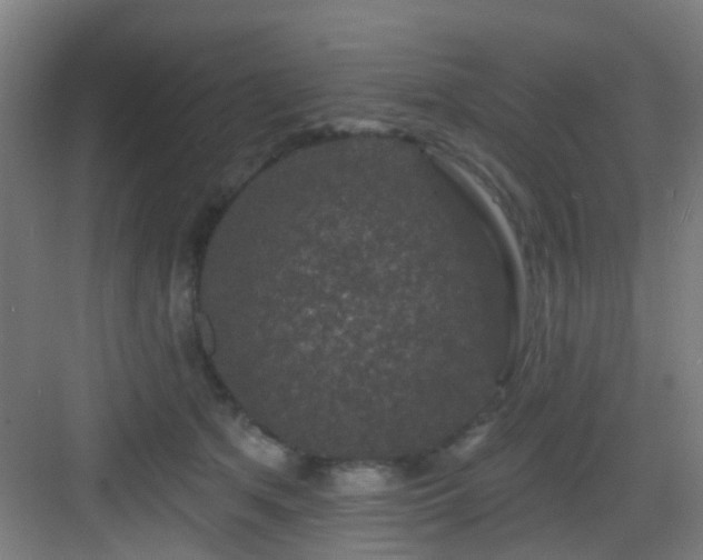 X0000082930513200702081544