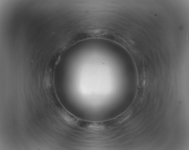 X0000082930515200702081544