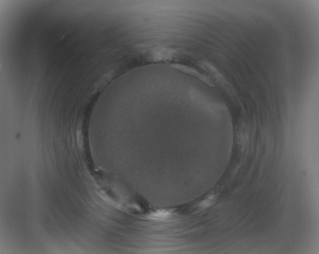 X0000082930516200702081544