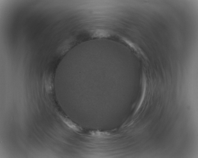 X0000082930517200702081544