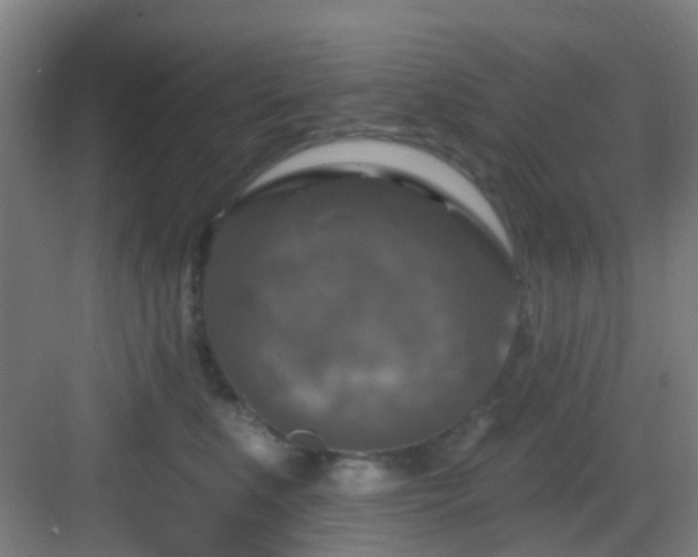 X0000082930519200702081544