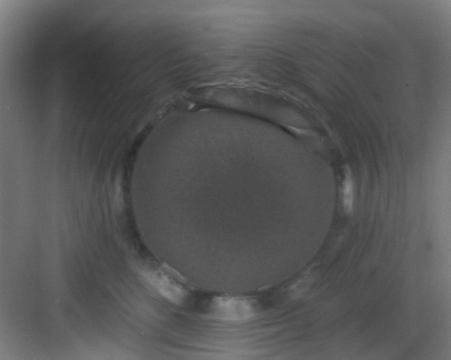 X0000082930520200702081544