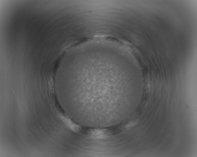 X0000082930523200702081544