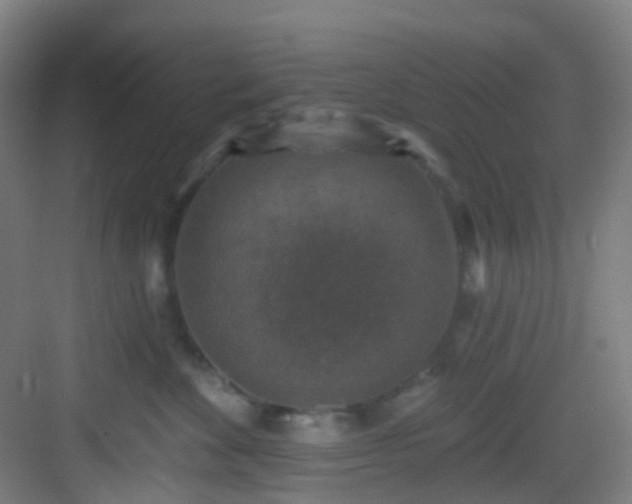 X0000082930524200702081544