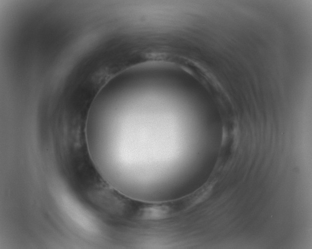 X0000082930525200702081544