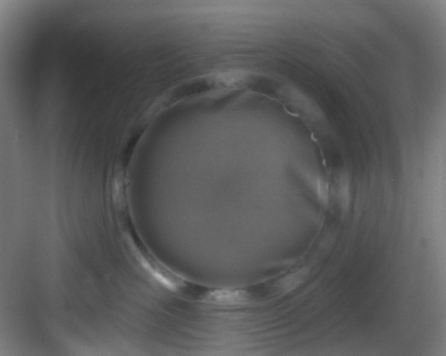 X0000082930526200702081544