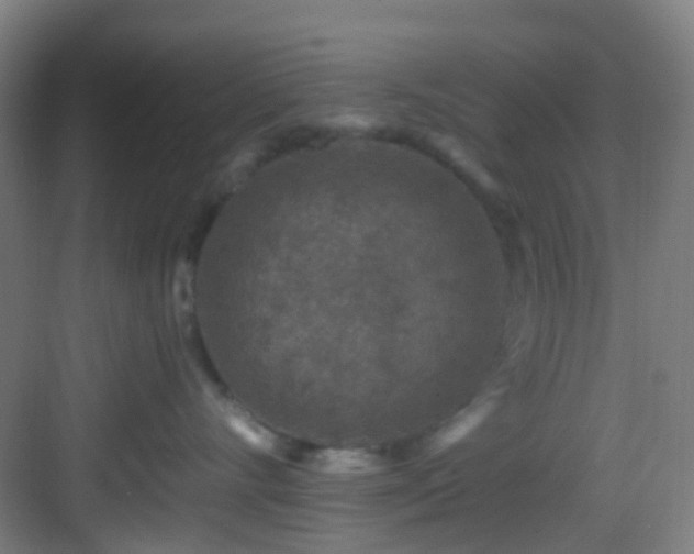 X0000082930528200702081544