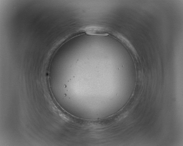 X0000082930529200702081543