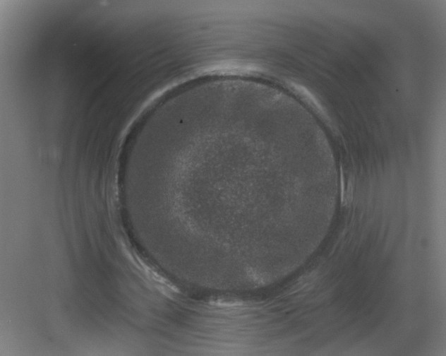 X0000082930531200702081543