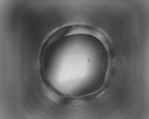 X0000082930536200702081543