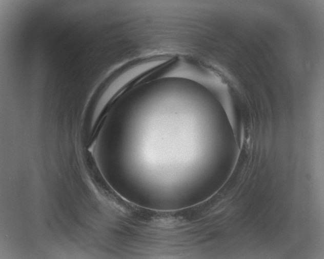 X0000082930540200702081543