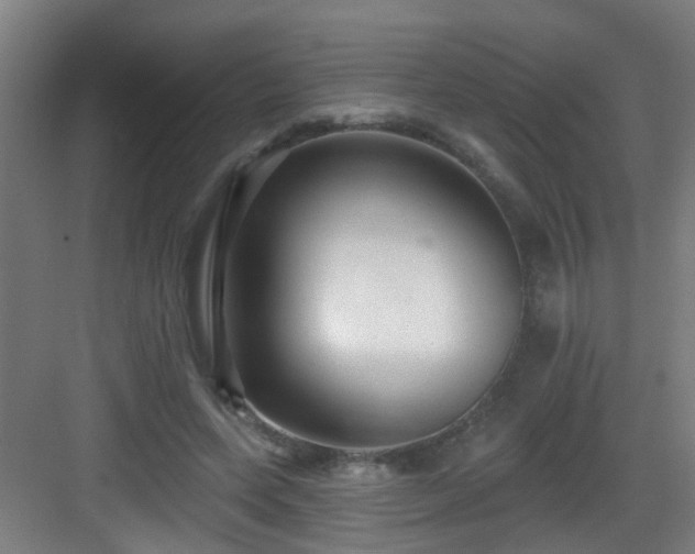 X0000082930543200702081543