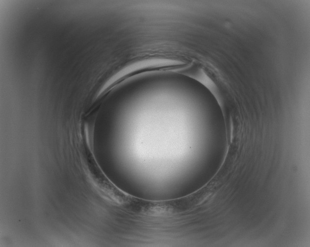 X0000082930546200702081543