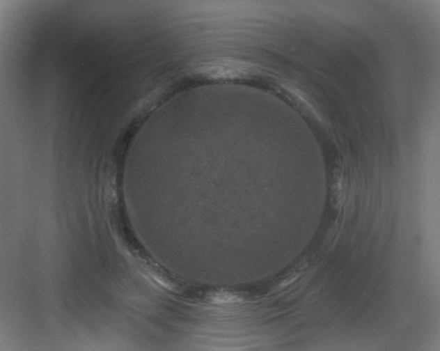 X0000082930547200702081543