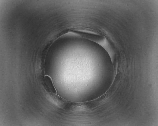 X0000082930548200702081543