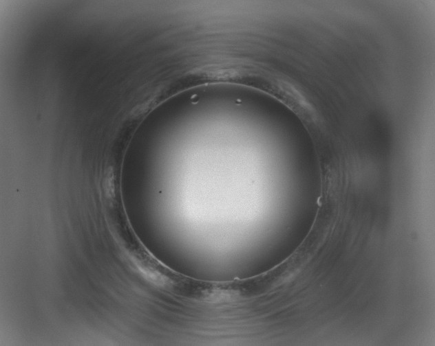 X0000082930549200702081543