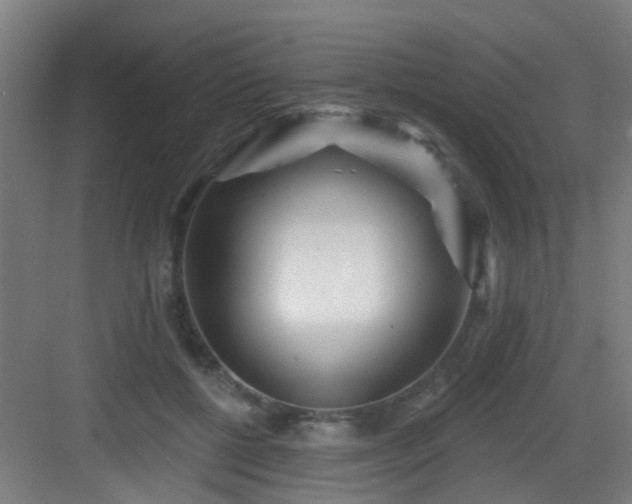 X0000082930552200702081543