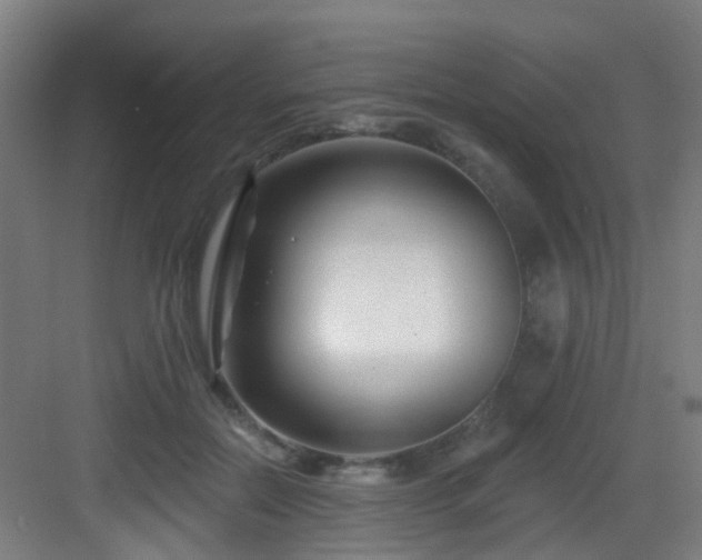 X0000082930554200702081543