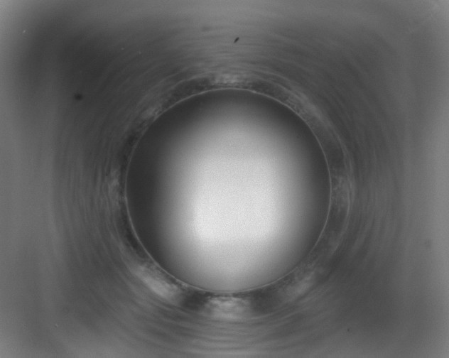 X0000082930557200702081543