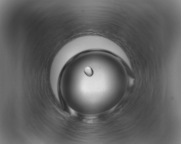 X0000082930564200702081544