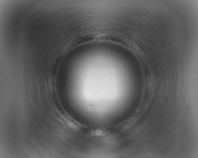 X0000082930565200702081544