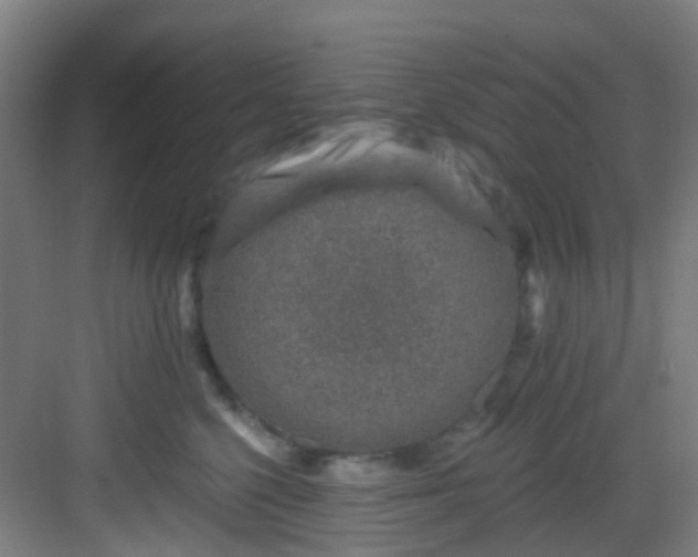 X0000082930568200702081544