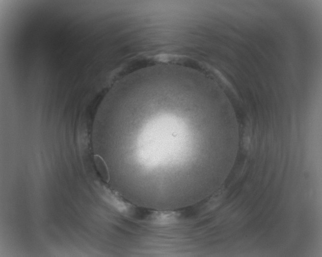 X0000082930569200702081544