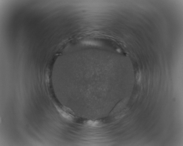 X0000082930570200702081544