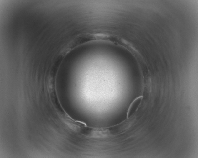 X0000082930571200702081544