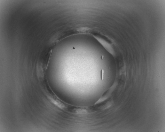 X0000082930572200702081544