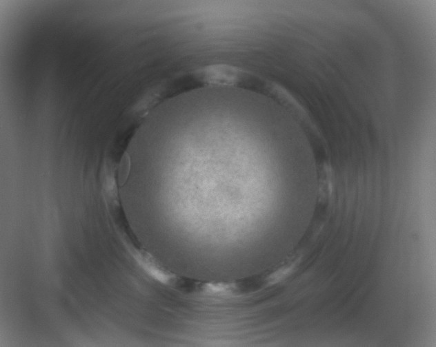 X0000082930573200702081544