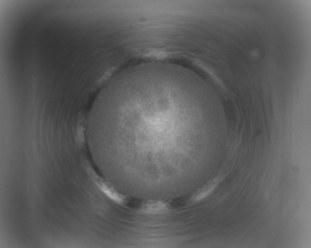 X0000082930576200702081544