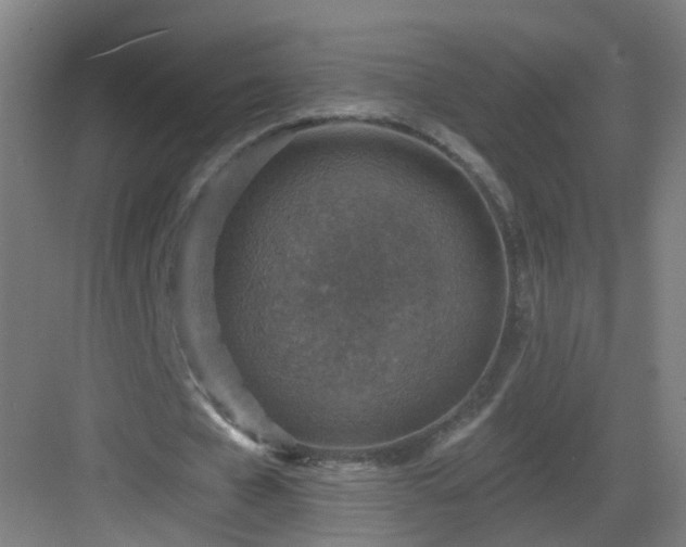 X0000082930577200702081543