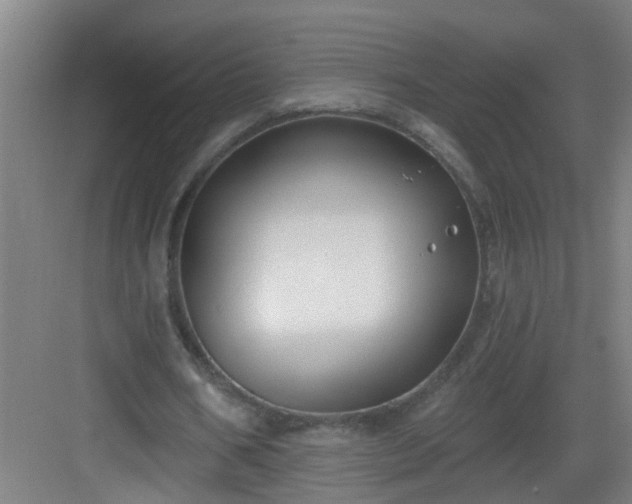 X0000082930578200702081543