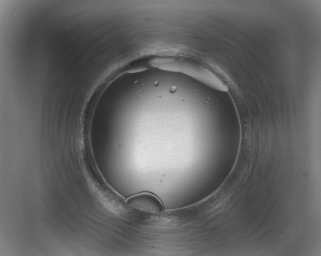 X0000082930582200702081543