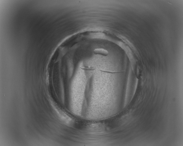 X0000082930584200702081543