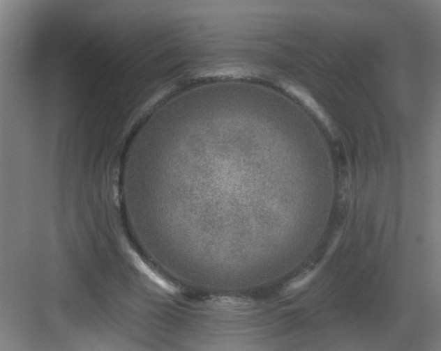 X0000082930585200702081543